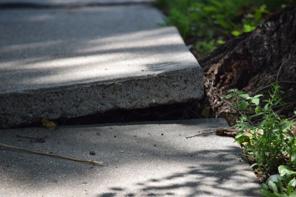 Cost of Sidewalk Leveling in Chillicothe